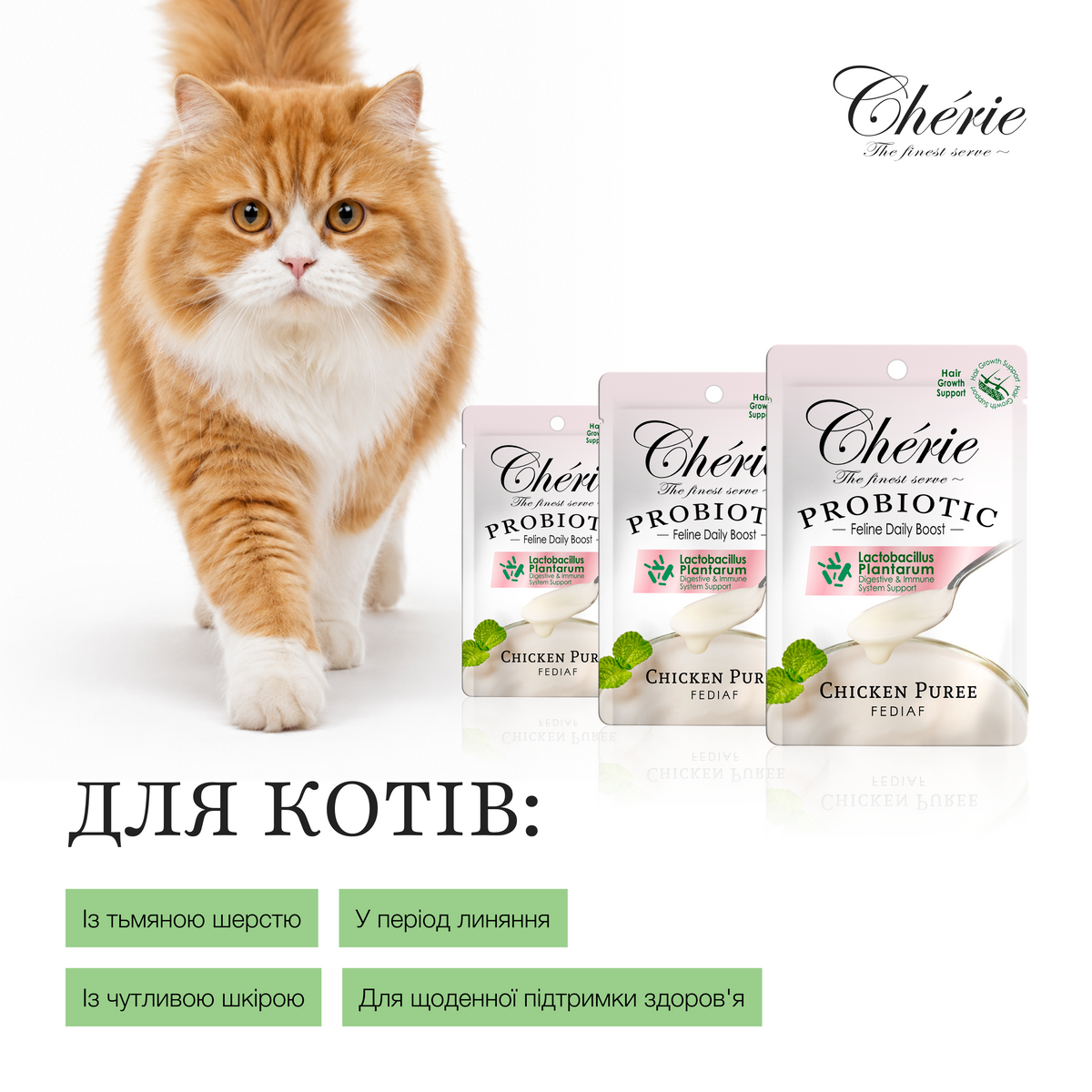 ПЮРЕ З КУРКОЮ ДЛЯ КОТІВ, ЗДОРОВА ШЕРСТЬ, 40 г
