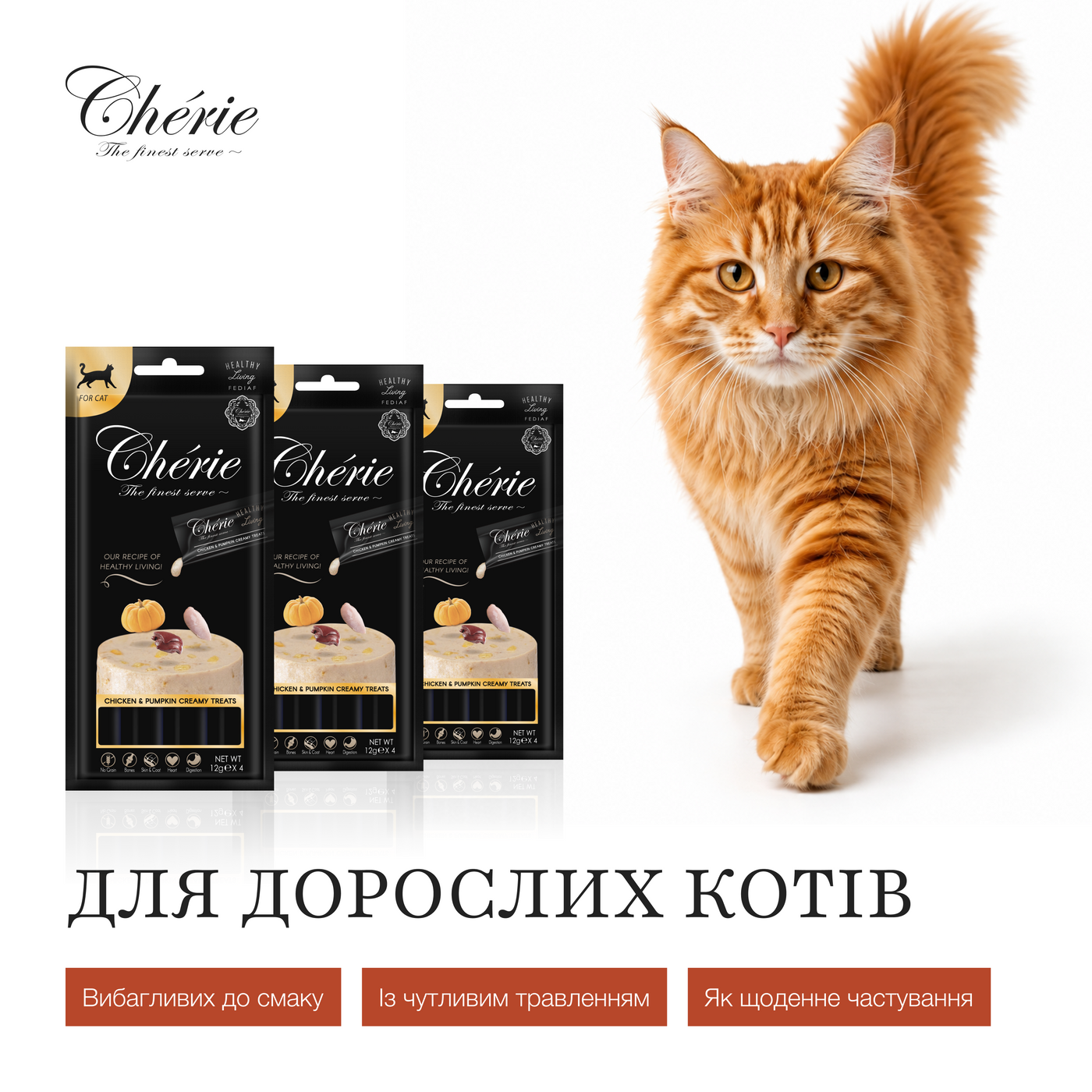 КРЕМОВІ ЛАСОЩІ З КУРКОЮ ТА ГАРБУЗОМ ДЛЯ КОТІВ, 4×12 г