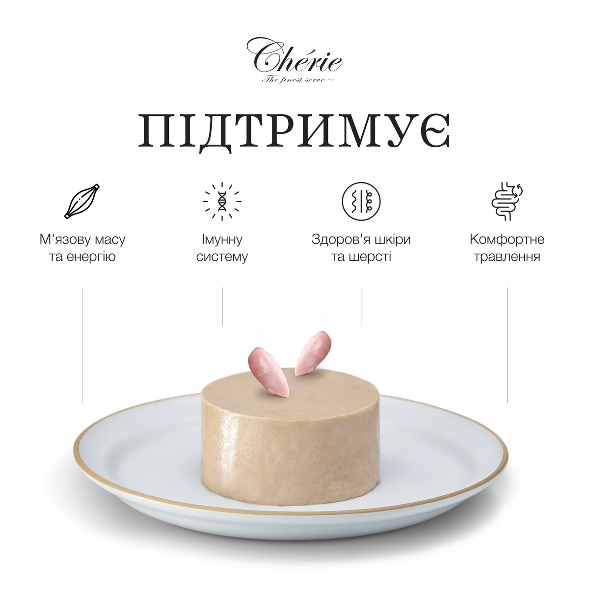 ВОЛОГИЙ КОРМ-МУС ІЗ КУРКИ ДЛЯ ДОРОСЛИХ СОБАК, 90 г