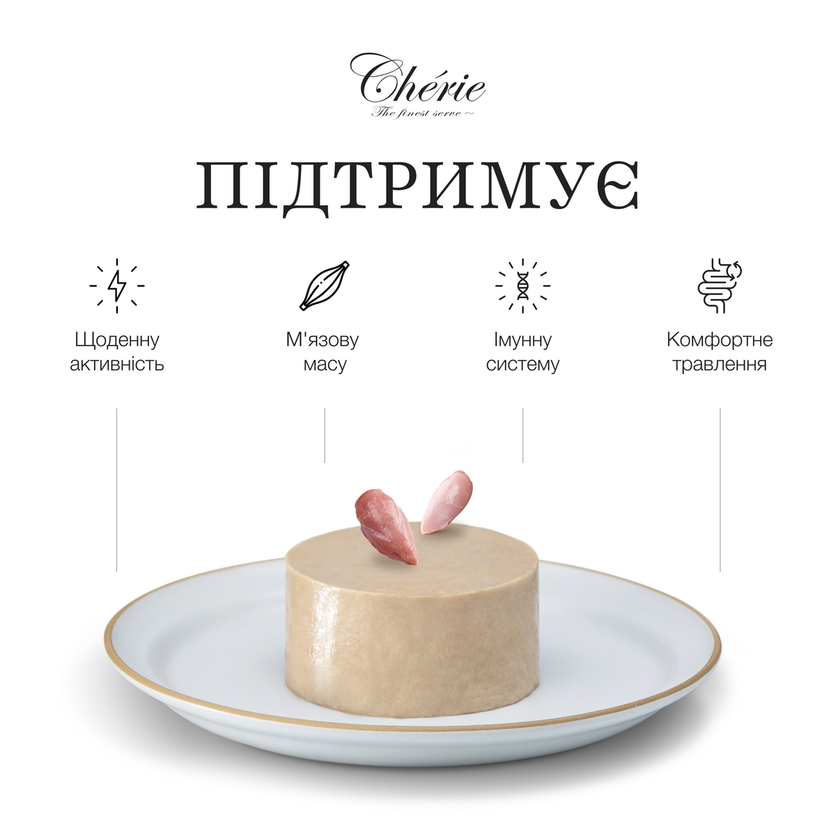 ВОЛОГИЙ КОРМ-МУС ІЗ КУРКИ ТА ІНДИЧКИ ДЛЯ ДОРОСЛИХ СОБАК, 90 г