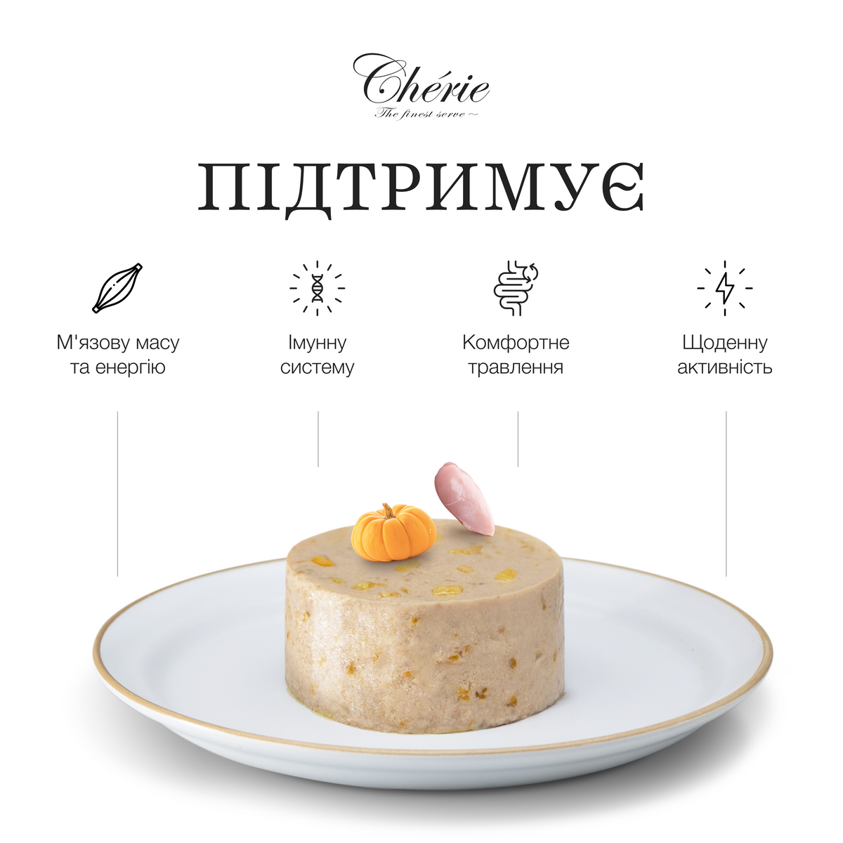 ВОЛОГИЙ КОРМ-МУС ІЗ КУРКИ ТА ГАРБУЗА ДЛЯ ДОРОСЛИХ СОБАК, 90 г