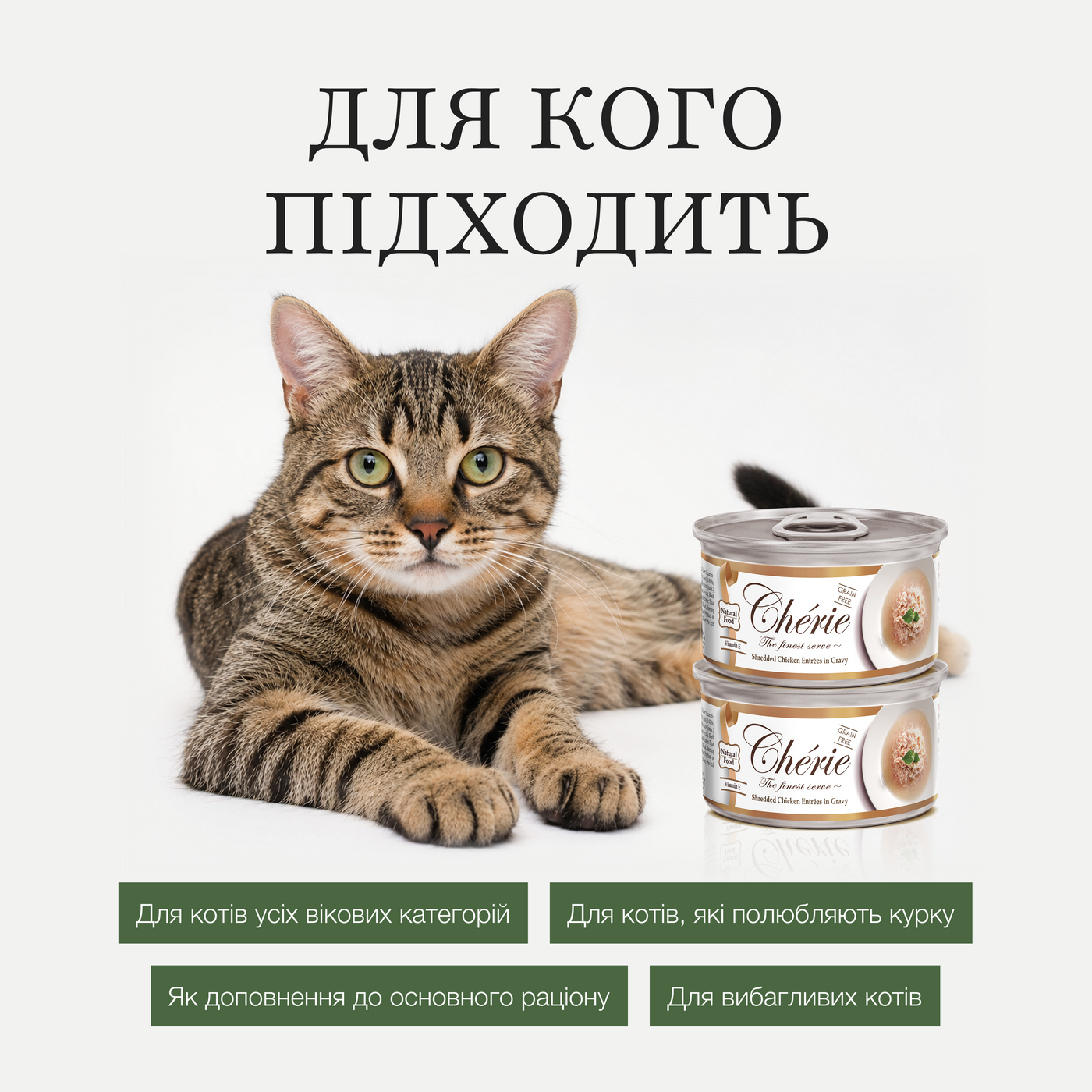 ШМАТОЧКИ КУРКИ В СОУСІ ДЛЯ КОТІВ, 80 г