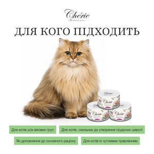 МІКС ТУНЦЯ ТА ЛОСОСЯ В СОУСІ, 80 г
