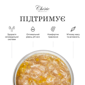 ВОЛОГИЙ КОРМ ІЗ КУРКОЮ ТА ГАРБУЗОМ В СОУСІ ДЛЯ КОТІВ, 80 г