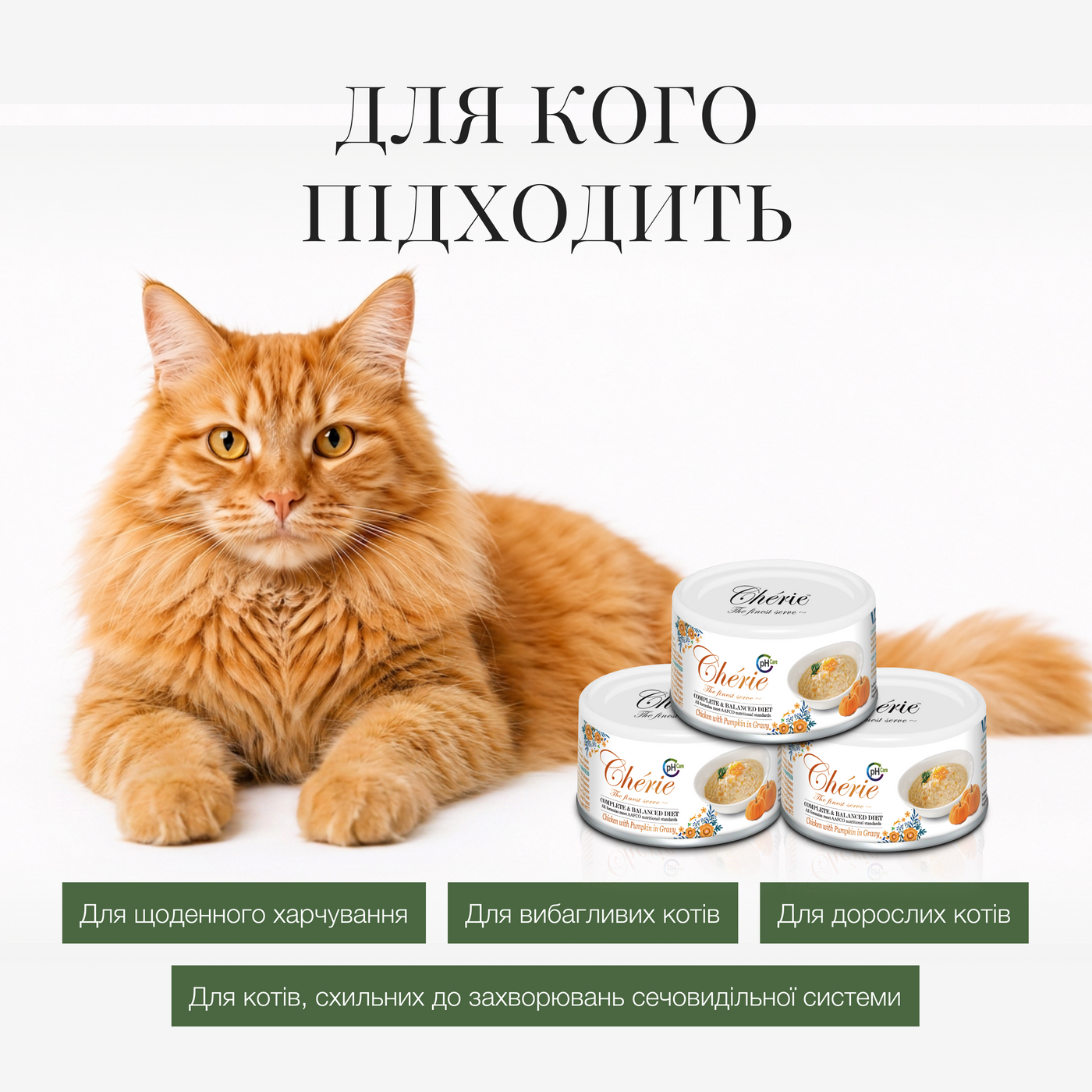ВОЛОГИЙ КОРМ ІЗ КУРКОЮ ТА ГАРБУЗОМ В СОУСІ ДЛЯ КОТІВ, 80 г