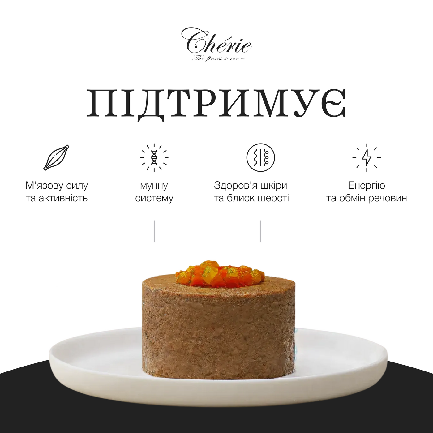 ПАШТЕТ ІЗ КУРКОЮ ТА ОВОЧАМИ ДЛЯ СОБАК, 80 г