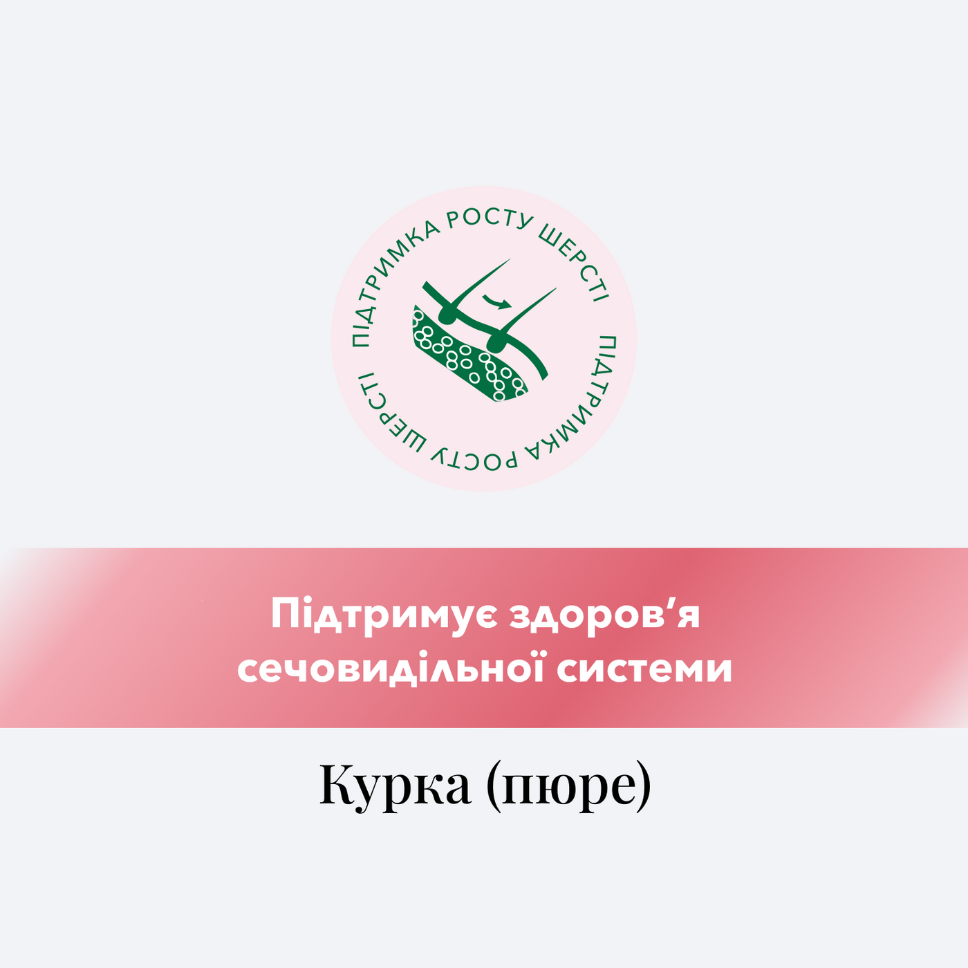 ПЮРЕ З КУРКОЮ ДЛЯ КОТІВ, ЗДОРОВА ШЕРСТЬ, 40 г