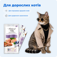 Суперфуд з тунцем, лососем та чорницею, 4х12 г preview 6