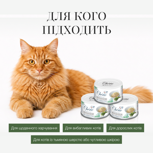 ВОЛОГИЙ КОРМ ІЗ КУРКОЮ ТА ШПИНАТОМ В СОУСІ ДЛЯ КОТІВ, 80 г