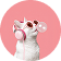 Малі коти